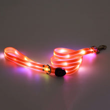 Load image into Gallery viewer, Led Pet Collar and Leash