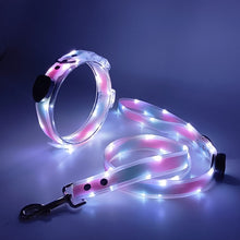 Load image into Gallery viewer, Led Pet Collar and Leash