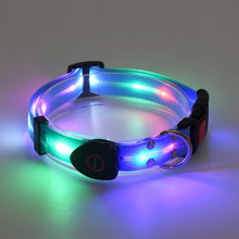 Load image into Gallery viewer, Led Pet Collar and Leash