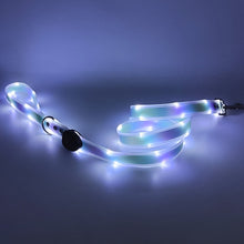 Load image into Gallery viewer, Led Pet Collar and Leash