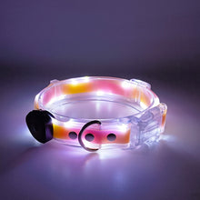 Load image into Gallery viewer, Led Pet Collar and Leash