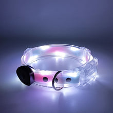 Load image into Gallery viewer, Led Pet Collar and Leash
