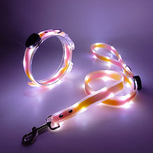 Load image into Gallery viewer, Led Pet Collar and Leash