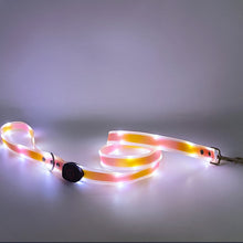 Load image into Gallery viewer, Led Pet Collar and Leash
