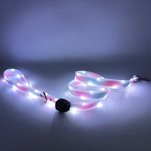 Load image into Gallery viewer, Led Pet Collar and Leash
