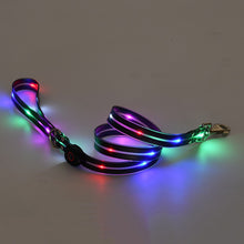 Load image into Gallery viewer, Led Pet Collar and Leash
