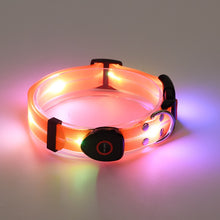 Load image into Gallery viewer, Led Pet Collar and Leash
